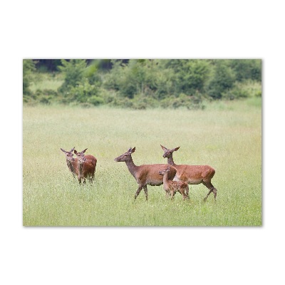 Glass wall art Deer with young