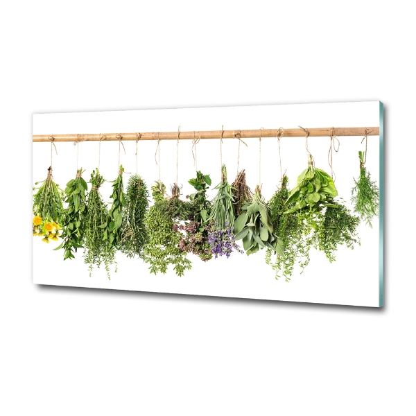 Glass picture wall art Herbs on a string