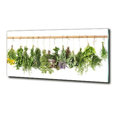 Glass picture wall art Herbs on a string