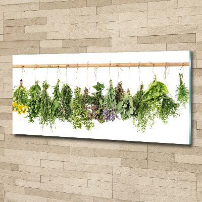 Glass picture wall art Herbs on a string