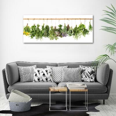 Glass picture wall art Herbs on a string