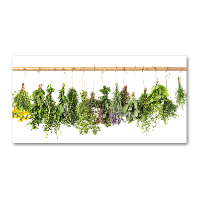 Glass picture wall art Herbs on a string