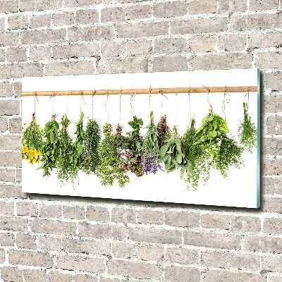 Glass picture wall art Herbs on a string