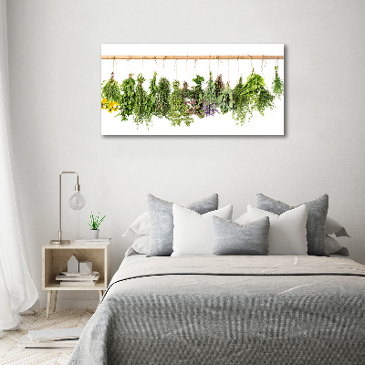 Glass picture wall art Herbs on a string