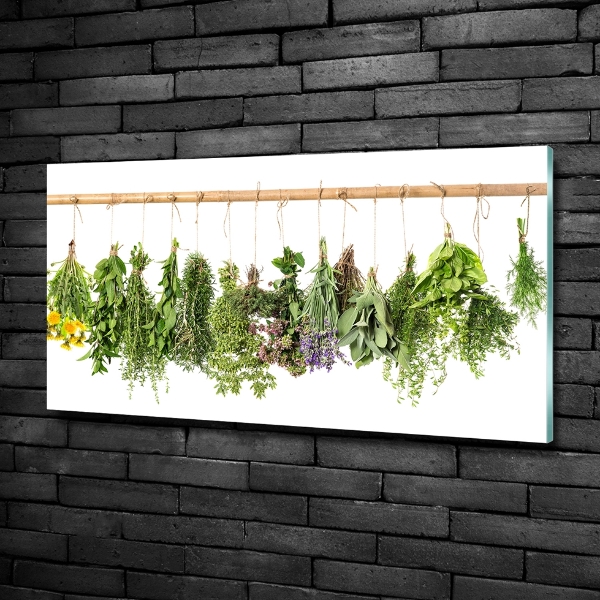 Glass picture wall art Herbs on a string