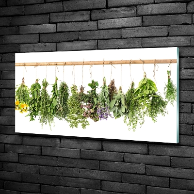 Glass picture wall art Herbs on a string