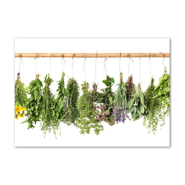 Glass picture wall art Herbs on a string