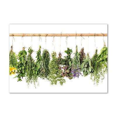 Glass picture wall art Herbs on a string