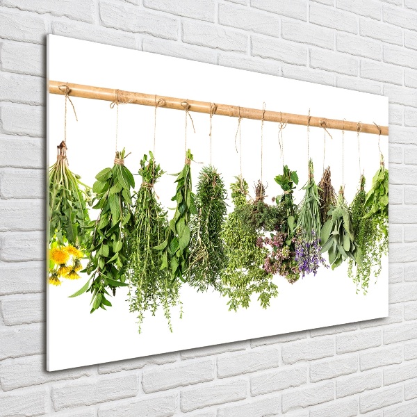 Glass picture wall art Herbs on a string