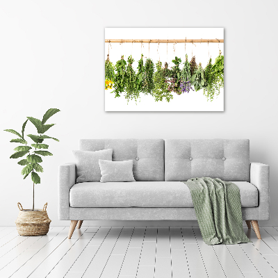 Glass picture wall art Herbs on a string