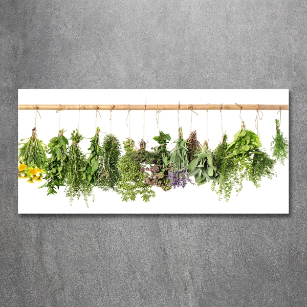 Glass picture wall art Herbs on a string