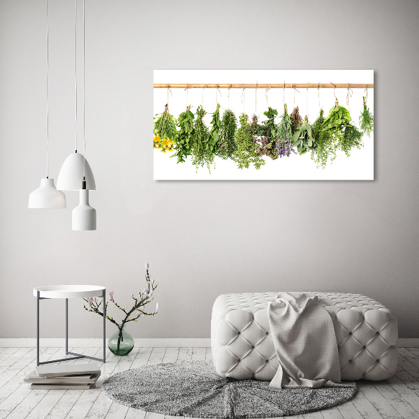 Glass picture wall art Herbs on a string