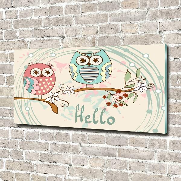 Printed glass wall art Owls