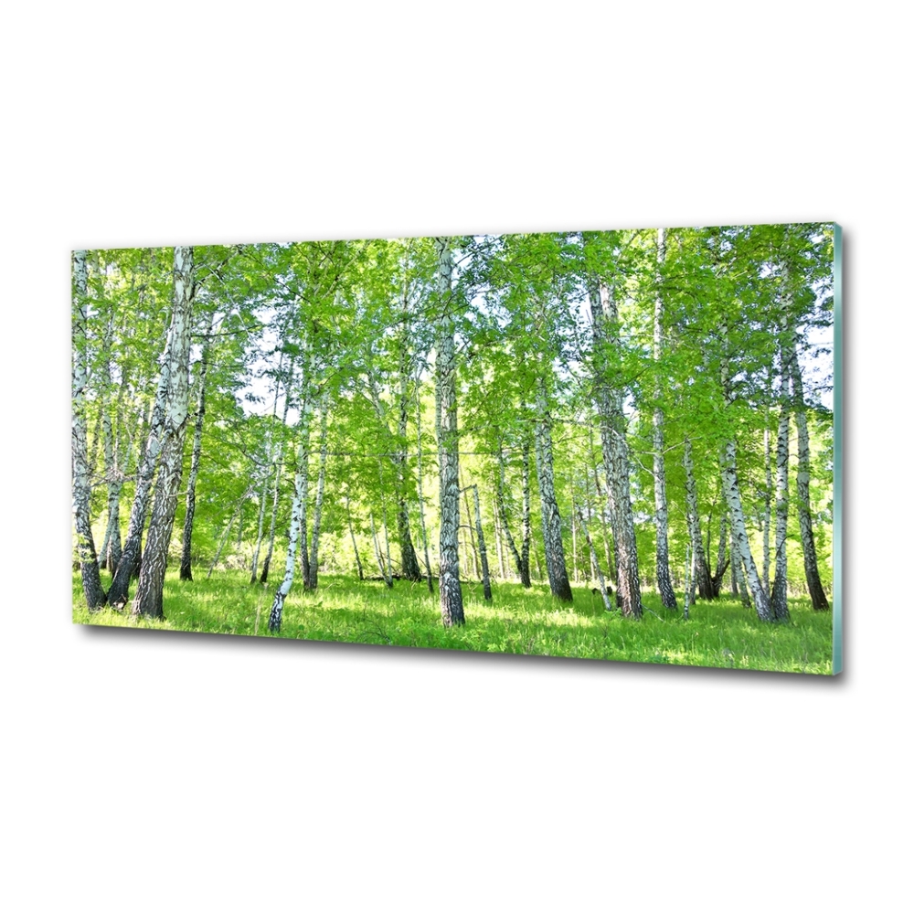 Glass wall art Birch