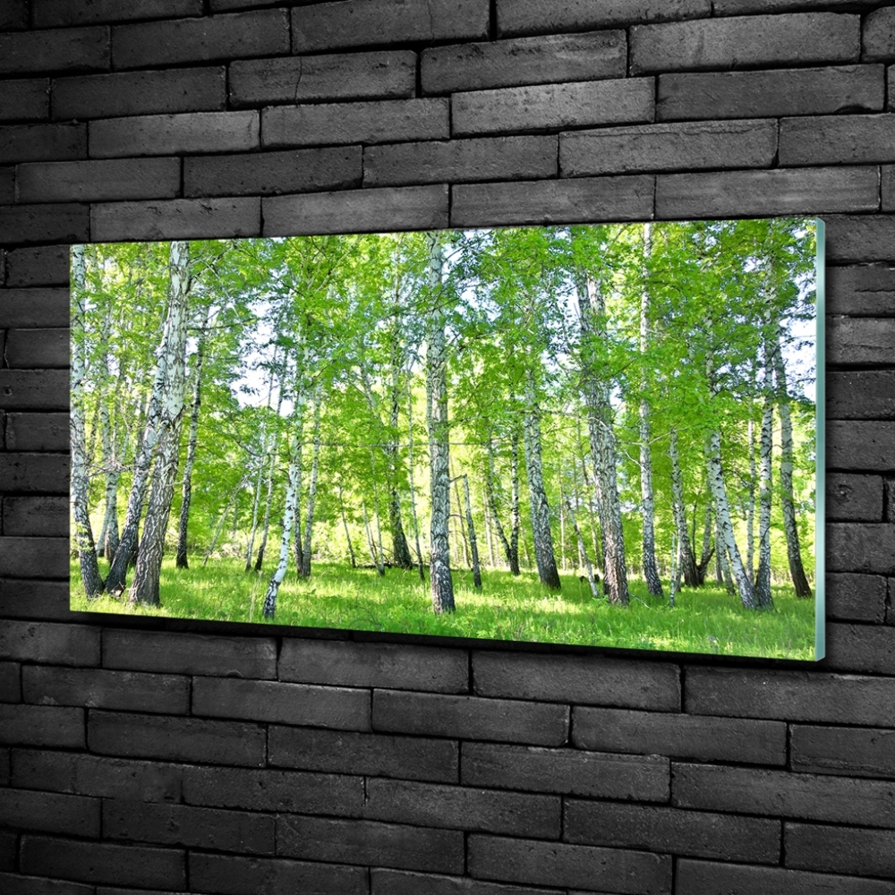 Glass wall art Birch