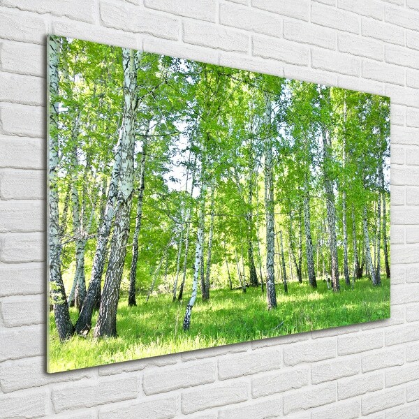 Glass wall art Birch