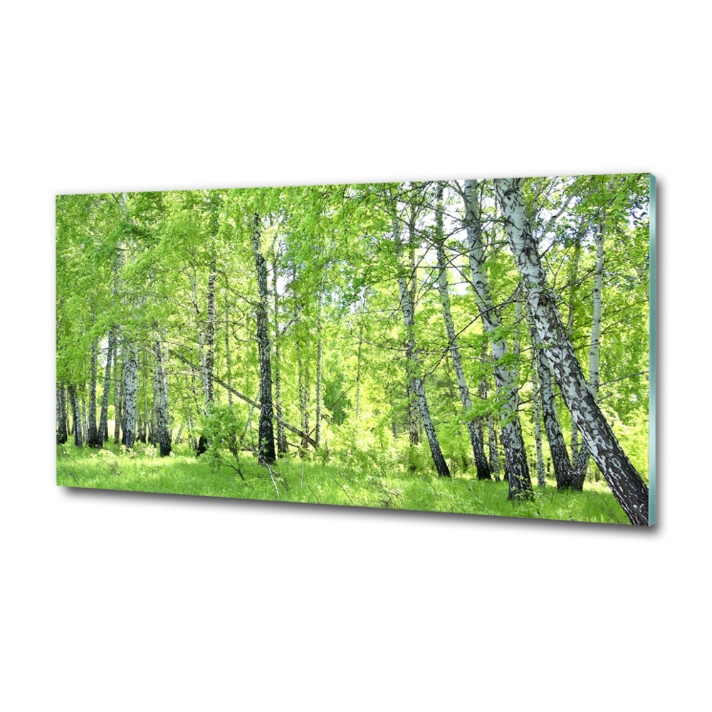 Wall art on glass Birch forest