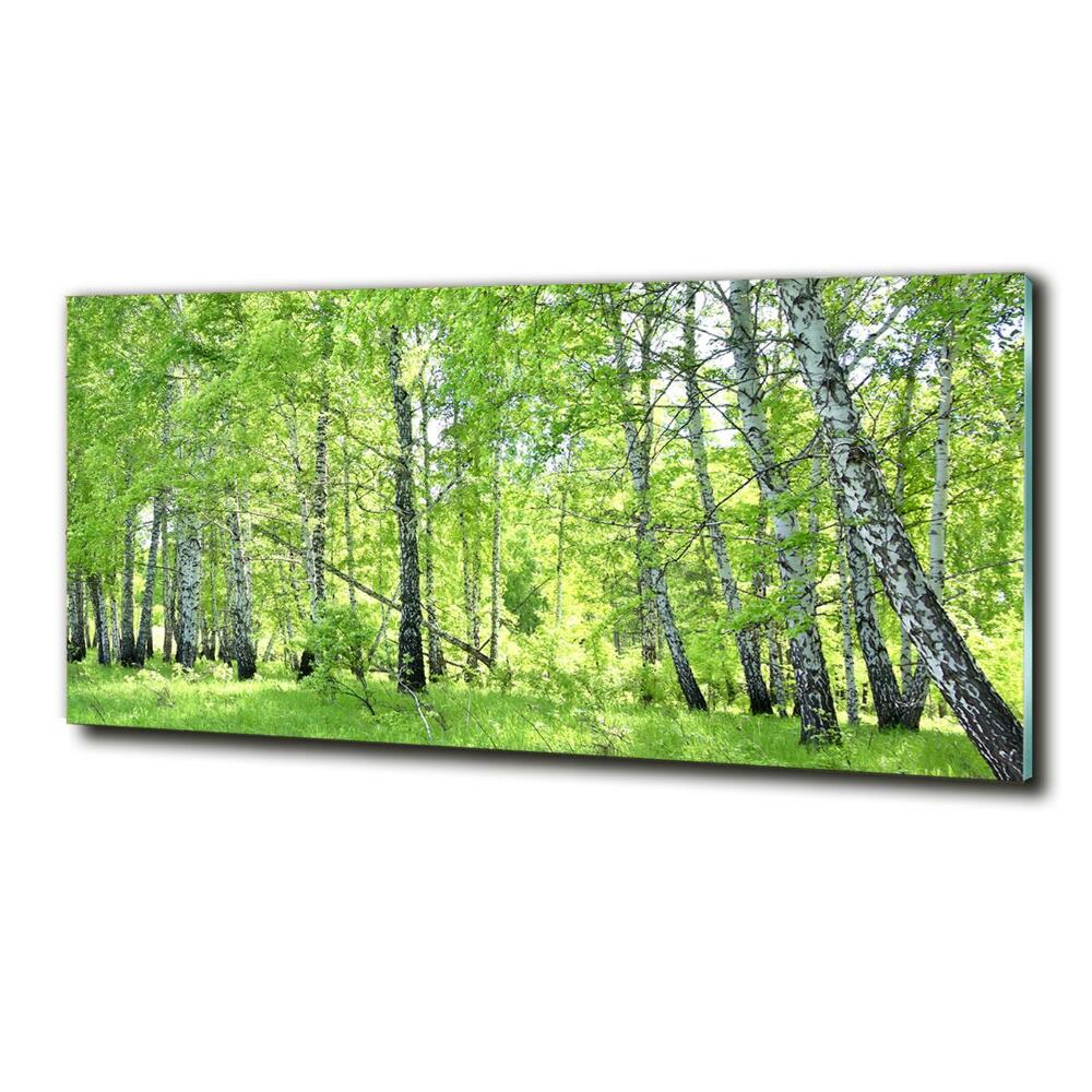 Wall art on glass Birch forest