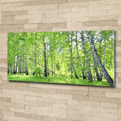 Wall art on glass Birch forest