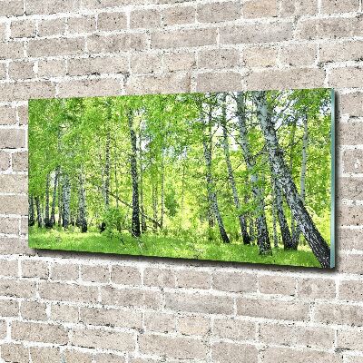 Wall art on glass Birch forest