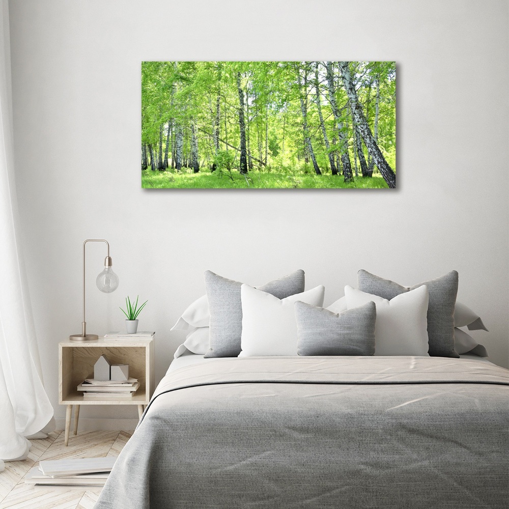 Wall art on glass Birch forest