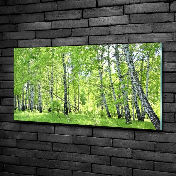 Wall art on glass Birch forest