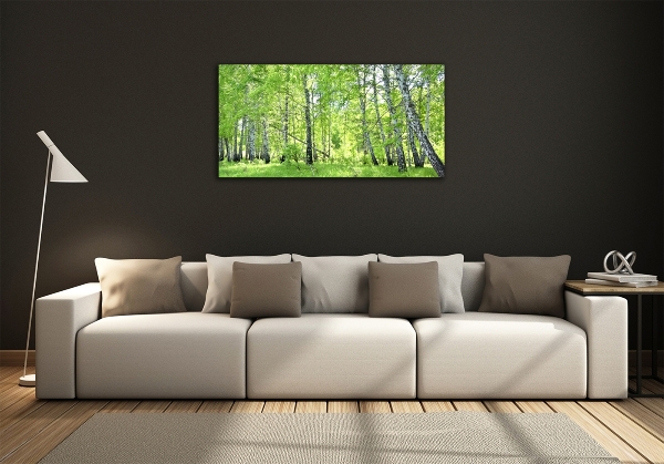 Wall art on glass Birch forest