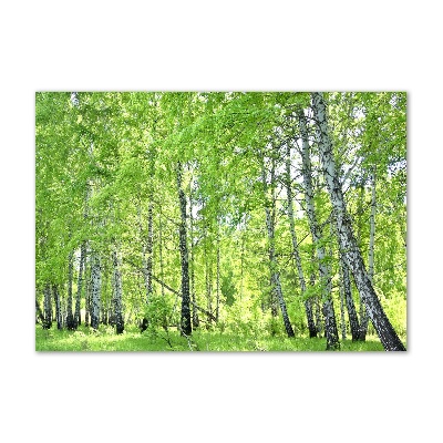 Wall art on glass Birch forest