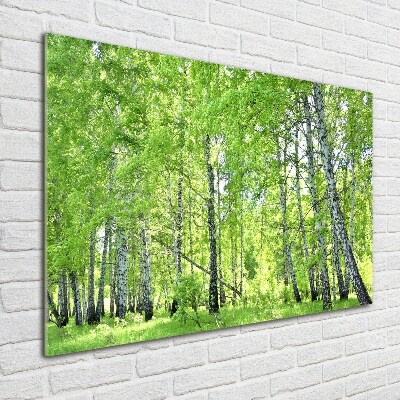 Wall art on glass Birch forest