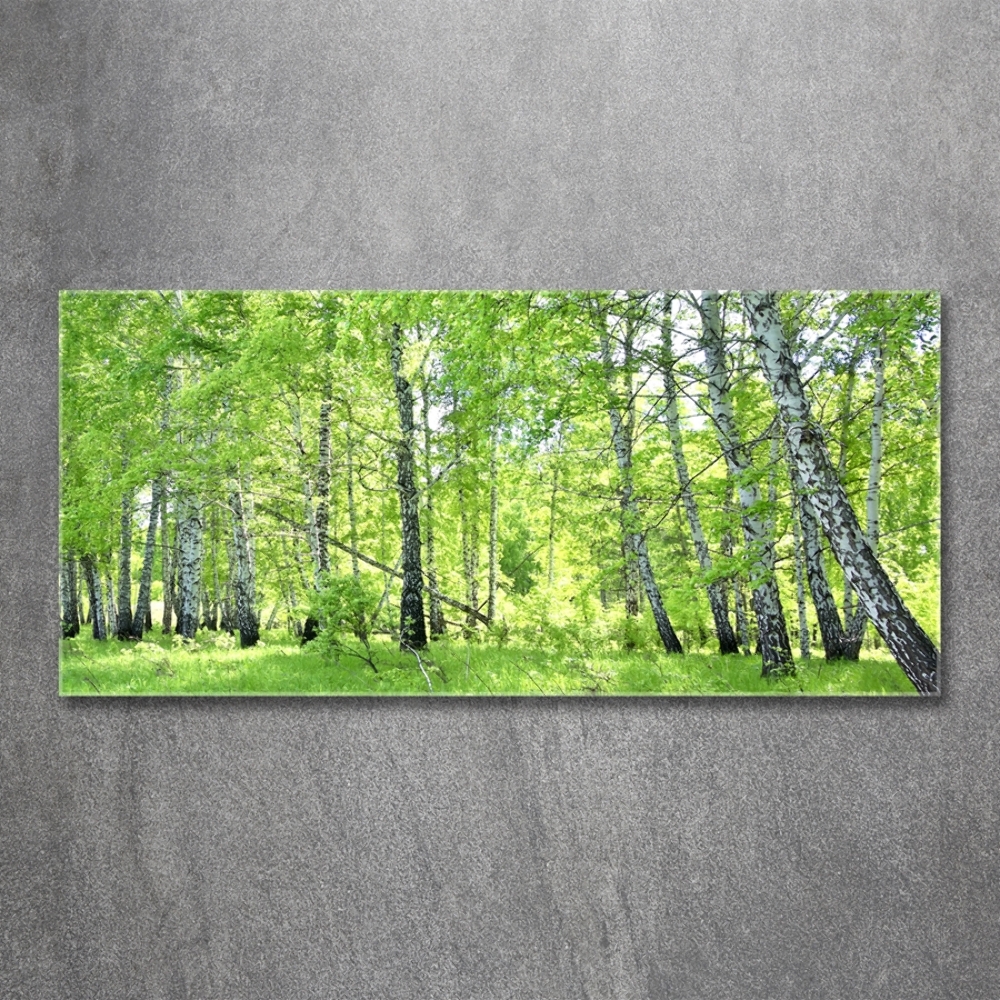 Wall art on glass Birch forest