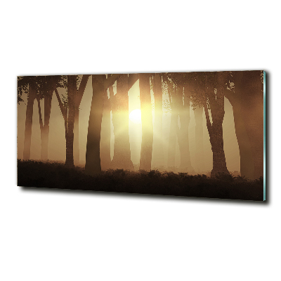 Wall art on glass Fog in the forest