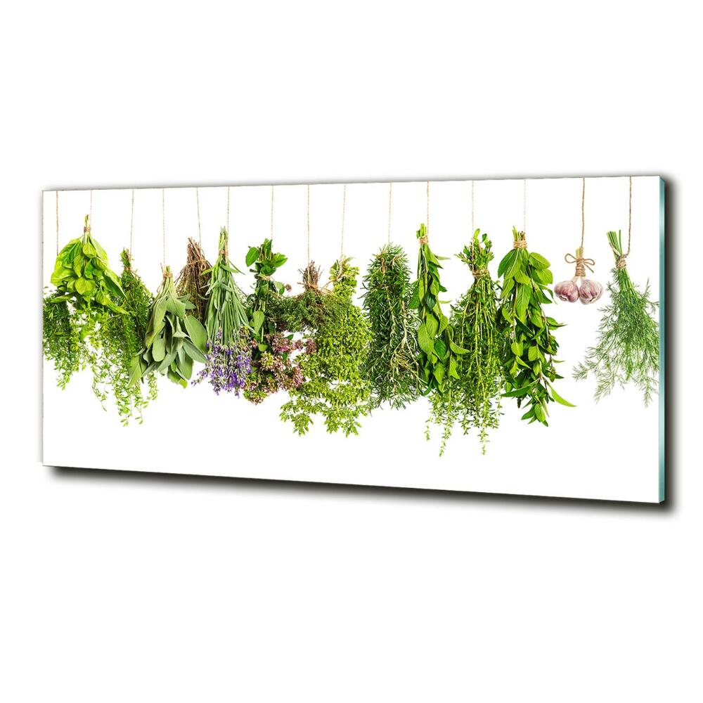 Glass picture wall art Herbs on a string