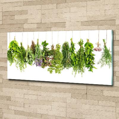 Glass picture wall art Herbs on a string