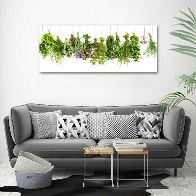 Glass picture wall art Herbs on a string