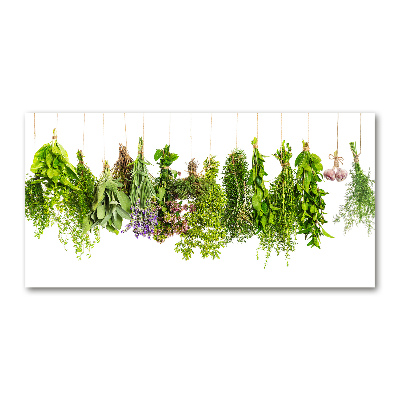 Glass picture wall art Herbs on a string