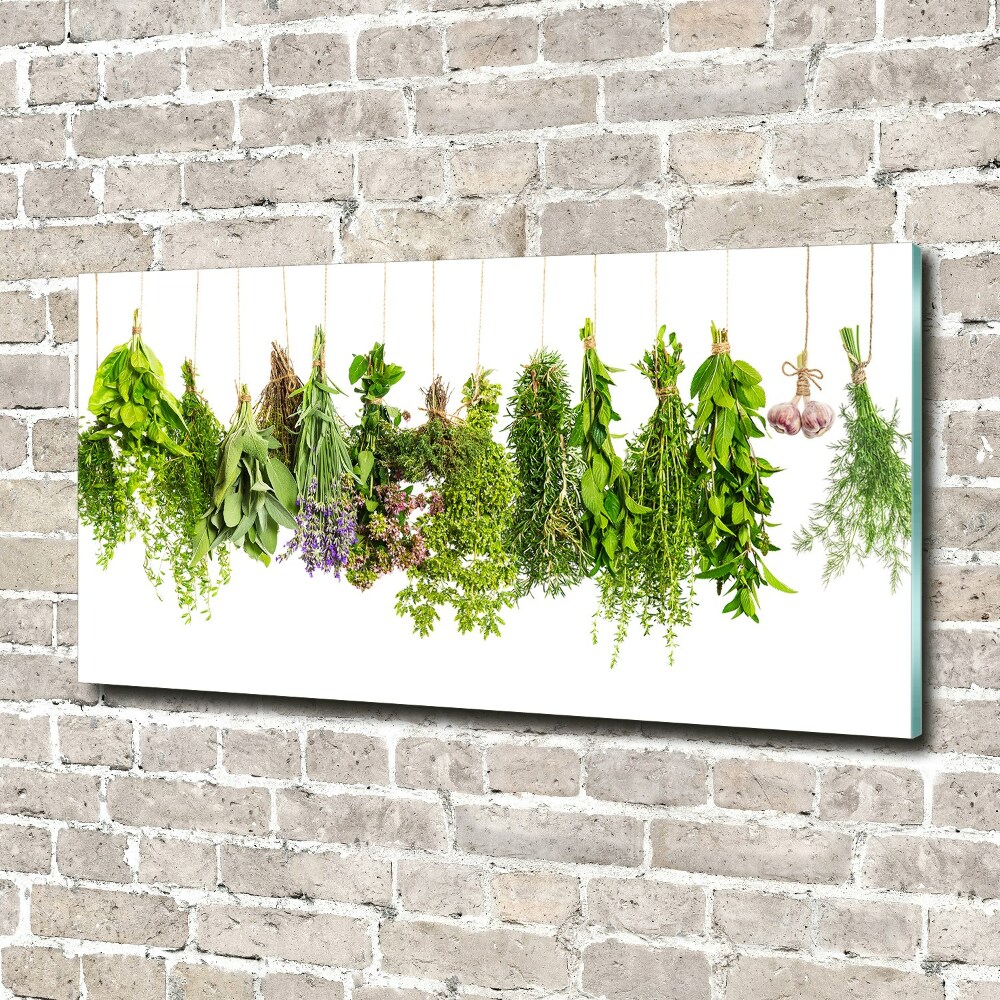 Glass picture wall art Herbs on a string