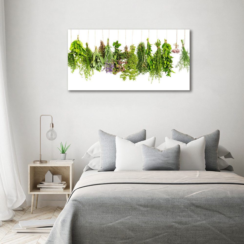 Glass picture wall art Herbs on a string