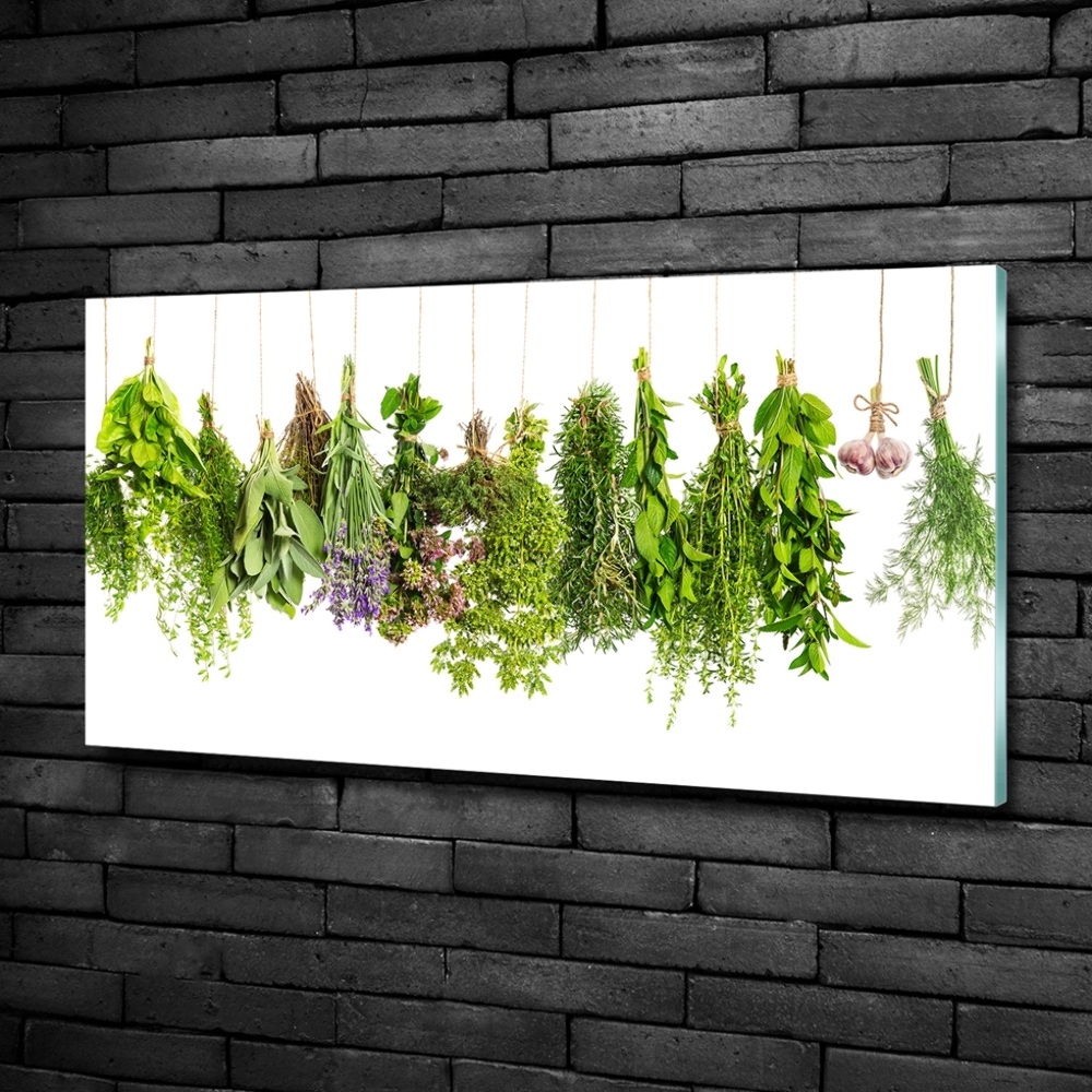 Glass picture wall art Herbs on a string