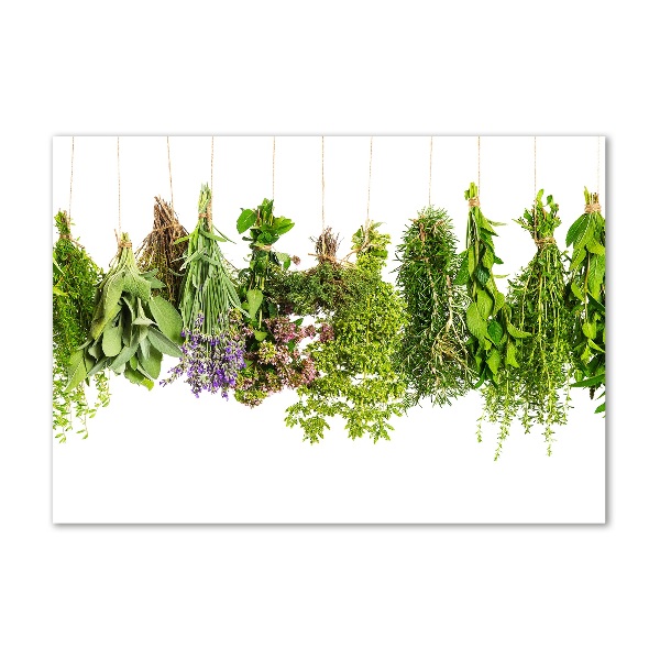 Glass picture wall art Herbs on a string