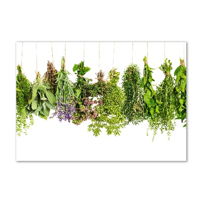 Glass picture wall art Herbs on a string