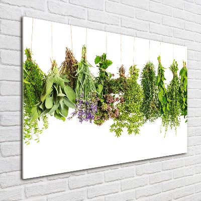 Glass picture wall art Herbs on a string