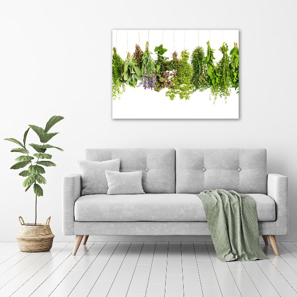 Glass picture wall art Herbs on a string