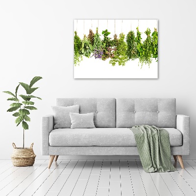 Glass picture wall art Herbs on a string