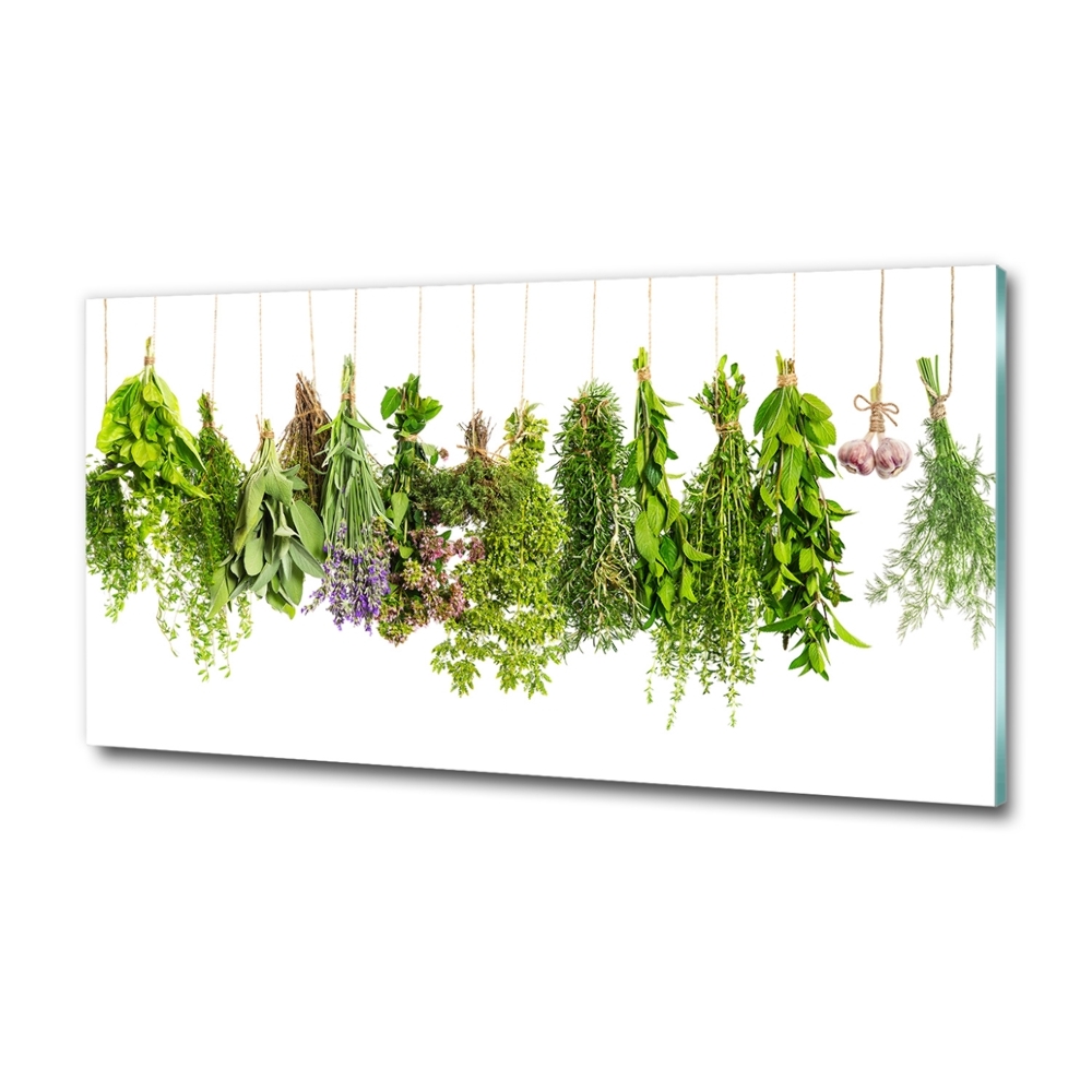 Glass picture wall art Herbs on a string