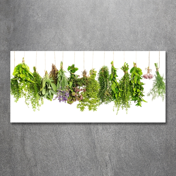 Glass picture wall art Herbs on a string