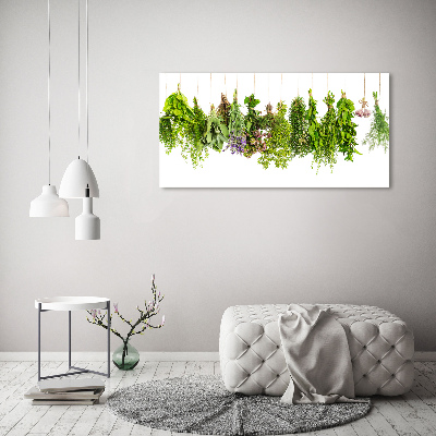 Glass picture wall art Herbs on a string