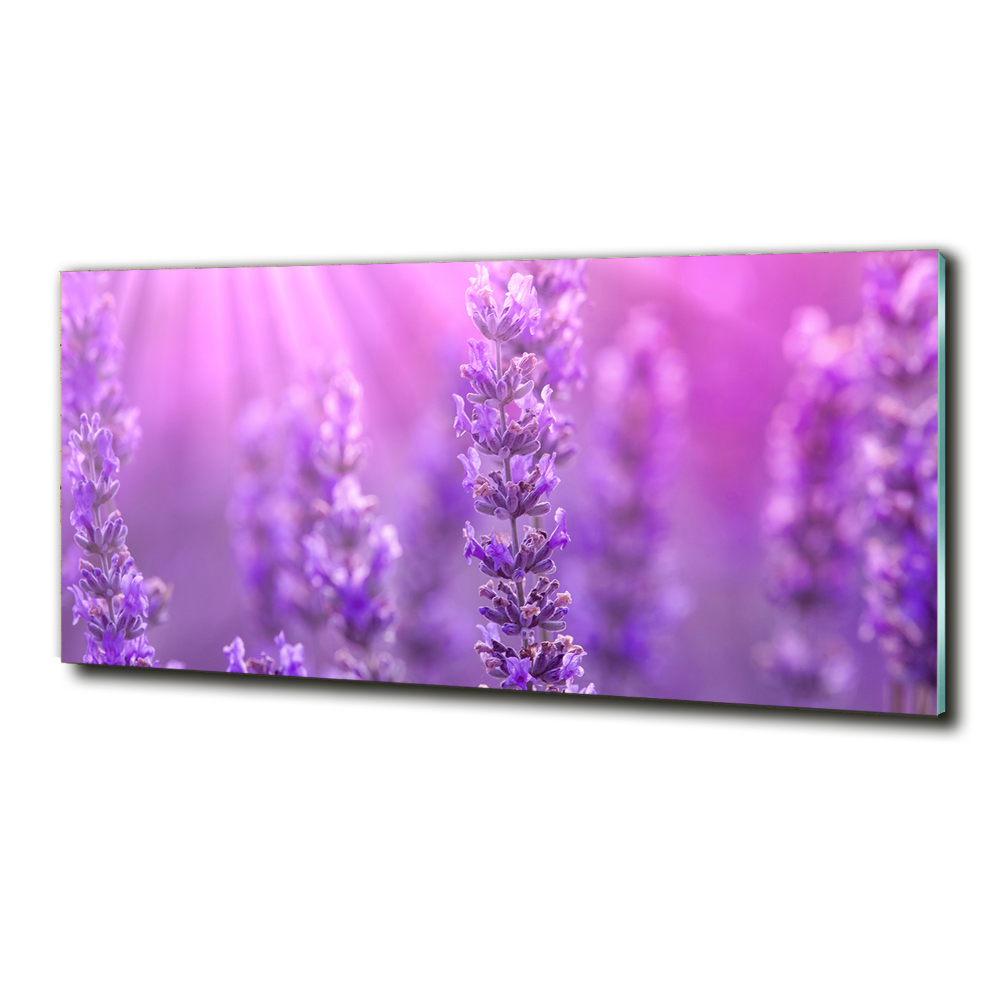 Wall art on glass Lavender