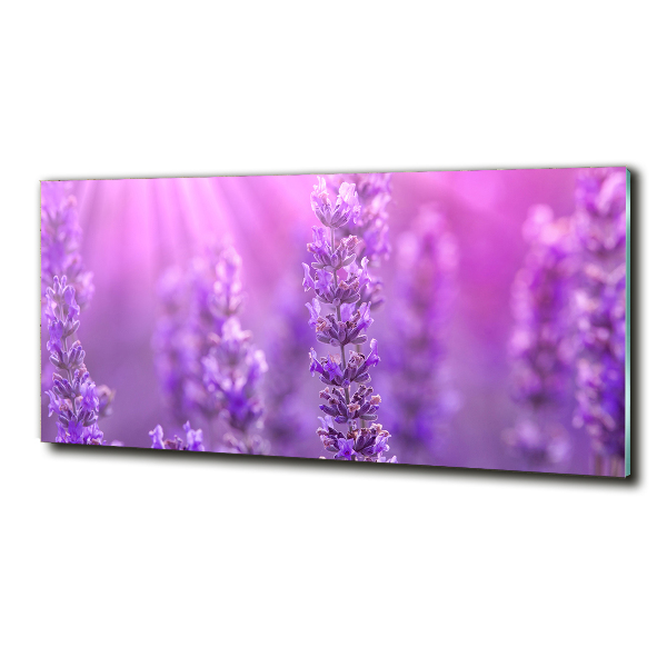 Wall art on glass Lavender