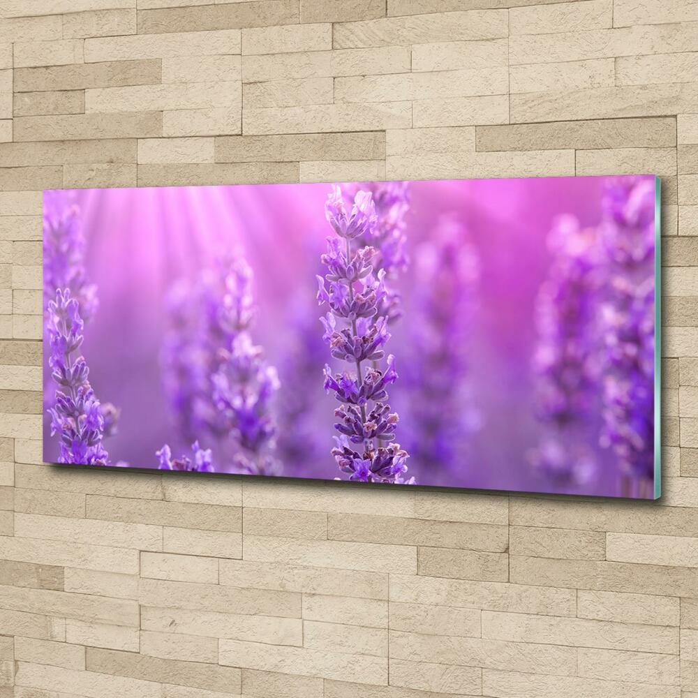 Wall art on glass Lavender