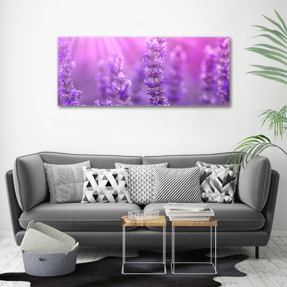 Wall art on glass Lavender